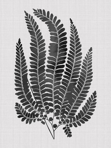 Maple Black Poster White Modern Wood Framed Art Print with Double Matting by Urban Road