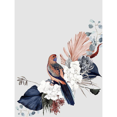 Blushing Rosella Poster White Modern Wood Framed Art Print by Urban Road