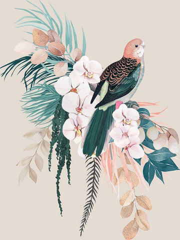 Jade Rosella Poster White Modern Wood Framed Art Print with Double Matting by Urban Road