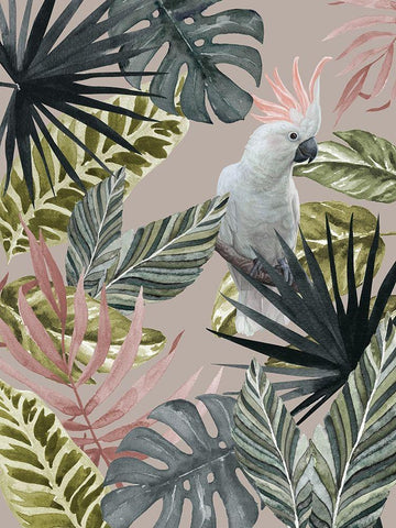 Tropical Cockatoo Poster White Modern Wood Framed Art Print with Double Matting by Urban Road
