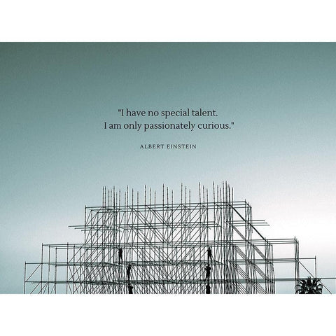 Albert Einstein Quote: Passionately Curious Black Modern Wood Framed Art Print by ArtsyQuotes