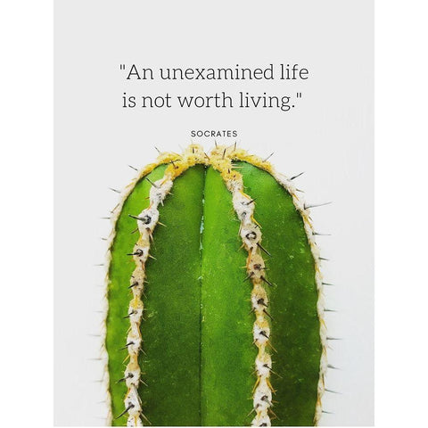 Socrates Quote: Unexamined Life Black Modern Wood Framed Art Print by ArtsyQuotes