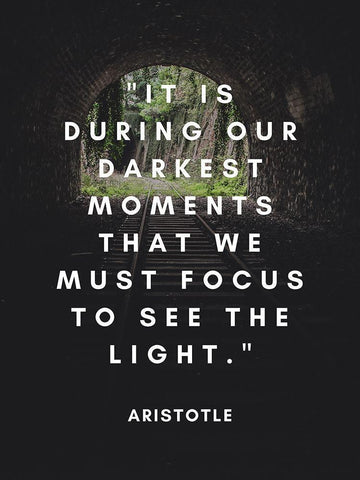 Aristotle Quote: See the Light Black Ornate Wood Framed Art Print with Double Matting by ArtsyQuotes