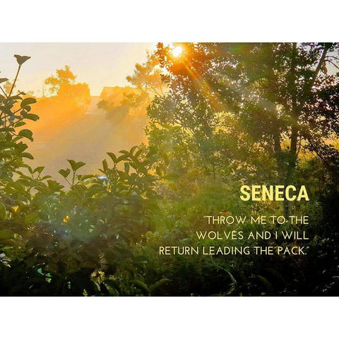 Seneca Quote: Leading the Pack Gold Ornate Wood Framed Art Print with Double Matting by ArtsyQuotes