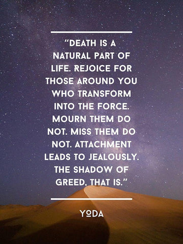 Yoda Quote: Rejoice White Modern Wood Framed Art Print with Double Matting by ArtsyQuotes