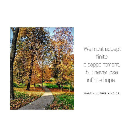 Martin Luther King, Jr. Quote: Accept Finite Disappointment Gold Ornate Wood Framed Art Print with Double Matting by ArtsyQuotes