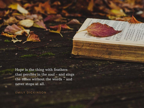 Emily Dickinson Quote: Hope Black Ornate Wood Framed Art Print with Double Matting by ArtsyQuotes