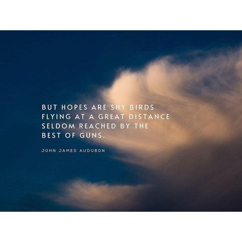 John James Audubon Quote: Shy Birds Flying Gold Ornate Wood Framed Art Print with Double Matting by ArtsyQuotes