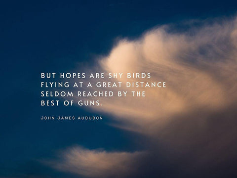 John James Audubon Quote: Shy Birds Flying White Modern Wood Framed Art Print with Double Matting by ArtsyQuotes