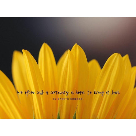 Elizabeth Bibesco Quote: Bring it Luck Black Modern Wood Framed Art Print with Double Matting by ArtsyQuotes
