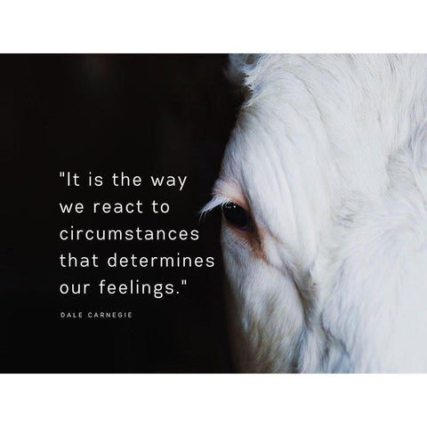 Dale Carnegie Quote: Our Feelings White Modern Wood Framed Art Print by ArtsyQuotes