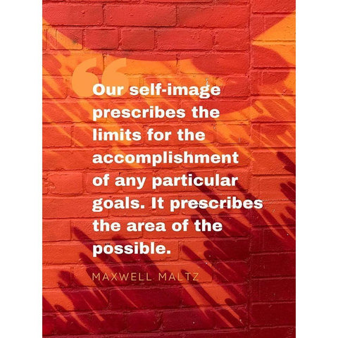 Maxwell Maltz Quote: Particular Goals Black Modern Wood Framed Art Print with Double Matting by ArtsyQuotes