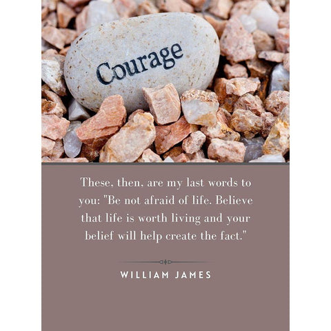 William James Quote: Not Afraid of Life White Modern Wood Framed Art Print by ArtsyQuotes