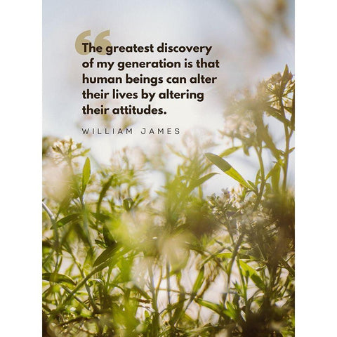 William James Quote: Greatest Discovery Black Modern Wood Framed Art Print with Double Matting by ArtsyQuotes