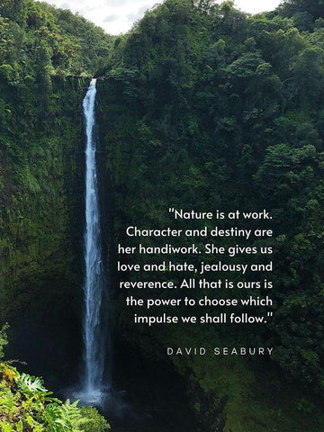 David Seabury Quote: Nature is at Work White Modern Wood Framed Art Print with Double Matting by ArtsyQuotes