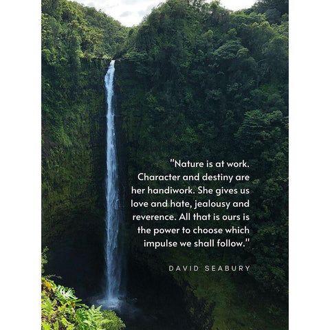 David Seabury Quote: Nature is at Work Black Modern Wood Framed Art Print with Double Matting by ArtsyQuotes