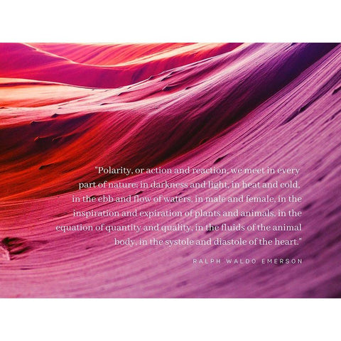 Ralph Waldo Emerson Quote: Polarity Gold Ornate Wood Framed Art Print with Double Matting by ArtsyQuotes