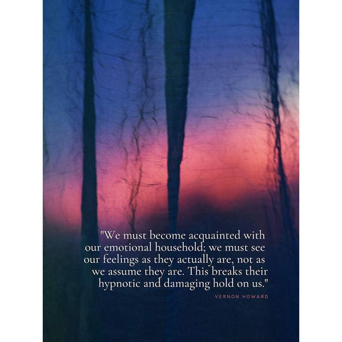 Vernon Howard Quote: Emotional Household Black Modern Wood Framed Art Print with Double Matting by ArtsyQuotes