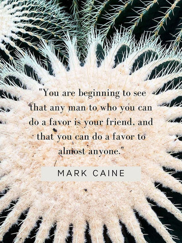 Mark Caine Quote: Favor is Your Friend White Modern Wood Framed Art Print with Double Matting by ArtsyQuotes