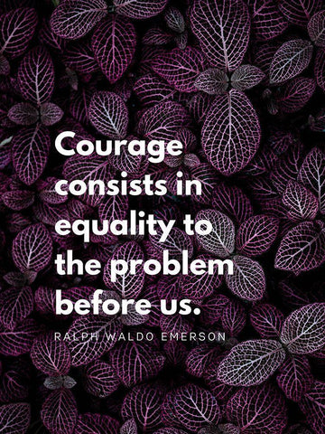 Ralph Waldo Emerson Quote: Equality White Modern Wood Framed Art Print with Double Matting by ArtsyQuotes