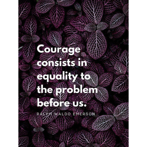 Ralph Waldo Emerson Quote: Equality Black Modern Wood Framed Art Print with Double Matting by ArtsyQuotes