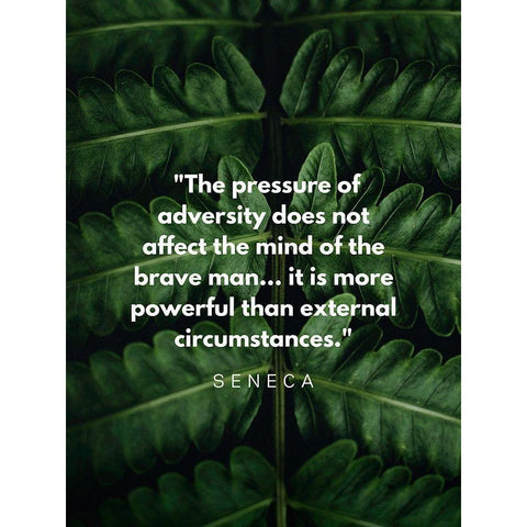 Seneca Quote: Adversity Black Modern Wood Framed Art Print with Double Matting by ArtsyQuotes