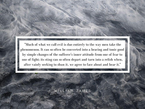William James Quote: Phenomenon White Modern Wood Framed Art Print with Double Matting by ArtsyQuotes