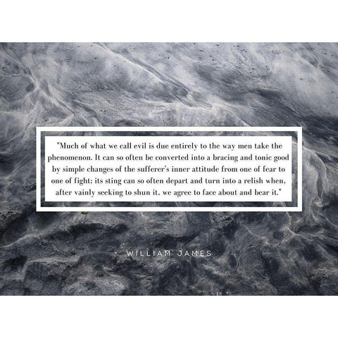 William James Quote: Phenomenon Black Modern Wood Framed Art Print with Double Matting by ArtsyQuotes