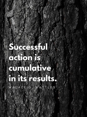 Wallace D. Wattles Quote: Successful Action White Modern Wood Framed Art Print with Double Matting by ArtsyQuotes