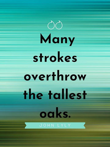 John Lyly Quote: Many Strokes White Modern Wood Framed Art Print with Double Matting by ArtsyQuotes