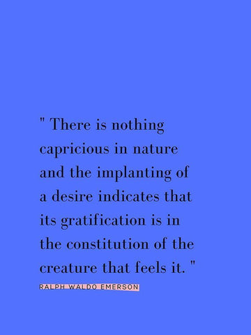 Ralph Waldo Emerson Quote: Implanting of a Desire Black Ornate Wood Framed Art Print with Double Matting by ArtsyQuotes