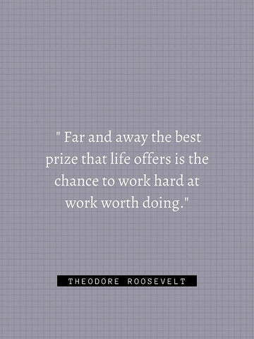 Theordore Roosevelt Quote: Work Hard White Modern Wood Framed Art Print with Double Matting by ArtsyQuotes
