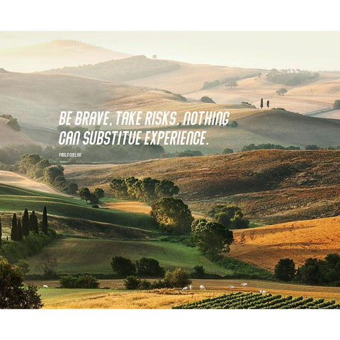 Paulo Coelho Quote: Take Risks Black Modern Wood Framed Art Print with Double Matting by ArtsyQuotes