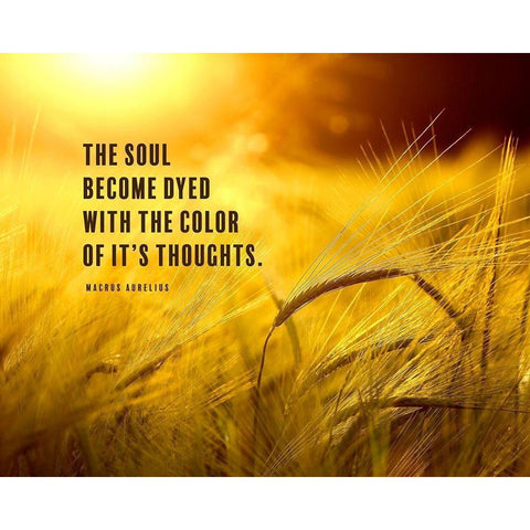Macrus Aurelius Quote: The Soul Black Modern Wood Framed Art Print with Double Matting by ArtsyQuotes