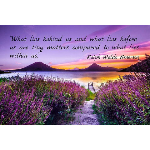 Ralph Waldo Emerson Quote: Tiny Matters Black Modern Wood Framed Art Print with Double Matting by ArtsyQuotes
