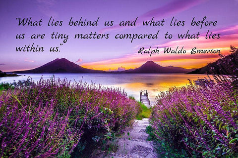 Ralph Waldo Emerson Quote: Tiny Matters White Modern Wood Framed Art Print with Double Matting by ArtsyQuotes
