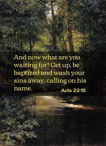 Bible Verse Quote Acts 22:16, Grigoriy Myasoyedov - Creek in the Forest White Modern Wood Framed Art Print with Double Matting by ArtsyQuotes