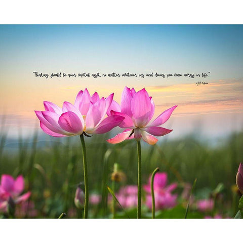APJ Kalam Quote: Capital Asset Gold Ornate Wood Framed Art Print with Double Matting by ArtsyQuotes