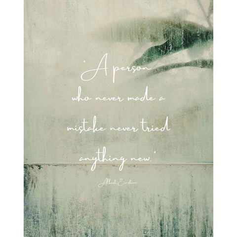 Albert Einstein Quote: Never Made a Mistake Black Modern Wood Framed Art Print with Double Matting by ArtsyQuotes