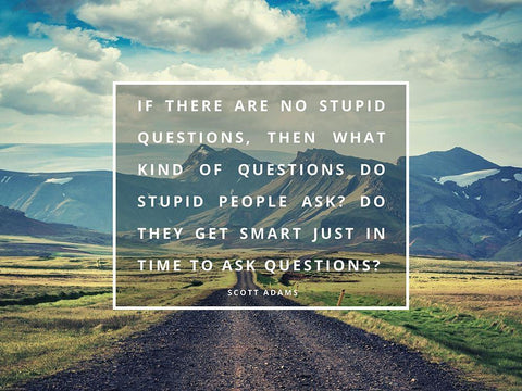 Scott Adams Quote: No Stupid Questions White Modern Wood Framed Art Print with Double Matting by ArtsyQuotes