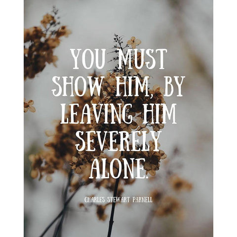 Charles Stewart Parnell Quote: Severely Alone Black Modern Wood Framed Art Print with Double Matting by ArtsyQuotes