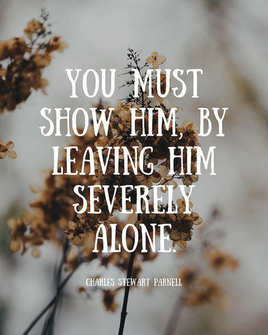 Charles Stewart Parnell Quote: Severely Alone White Modern Wood Framed Art Print with Double Matting by ArtsyQuotes