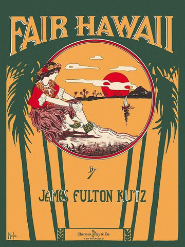 Fair Hawaii White Modern Wood Framed Art Print with Double Matting by Morgan
