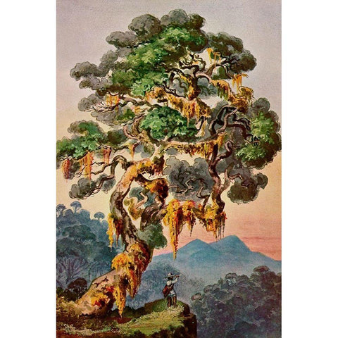 Der Vulkan Merapi auf Sumatra Hochland von Padang White Modern Wood Framed Art Print by Haeckel, Ernst