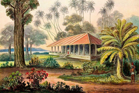 Rasthaus von Belligemma Sudkuste von Ceylon White Modern Wood Framed Art Print with Double Matting by Haeckel, Ernst