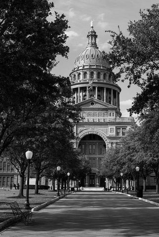 The Texas Capitol, Austin, Texas, 2014 - Black and White Black Ornate Wood Framed Art Print with Double Matting by Highmith, Carol