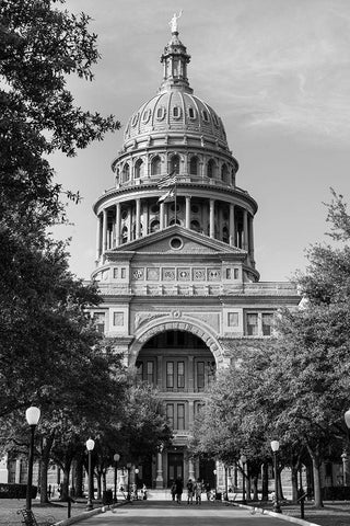 The Texas Capitol, Austin, Texas, 2014 - Black and White White Modern Wood Framed Art Print with Double Matting by Highmith, Carol