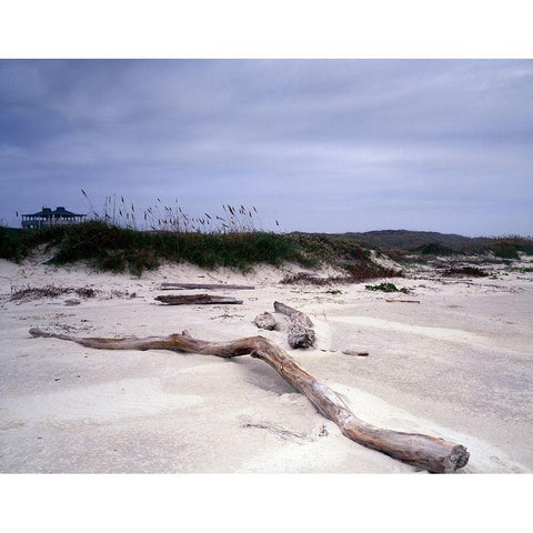 Driftwood on beach at Padre Island, TX White Modern Wood Framed Art Print by Highmith, Carol