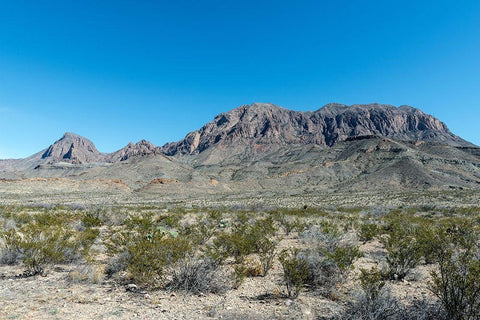 Scenery in Big Bend National Park, TX White Modern Wood Framed Art Print with Double Matting by Highmith, Carol