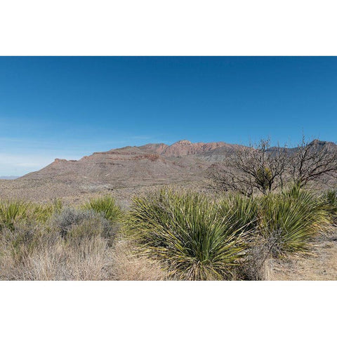 Scenery in Big Bend National Park, TX White Modern Wood Framed Art Print by Highmith, Carol